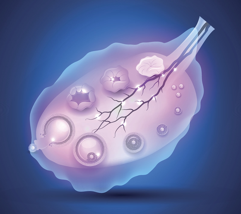 成都做试管婴儿哪家好？全面指南助你顺利圆梦
